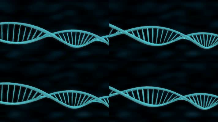 链条旋转DNA基因序列医学样本医疗