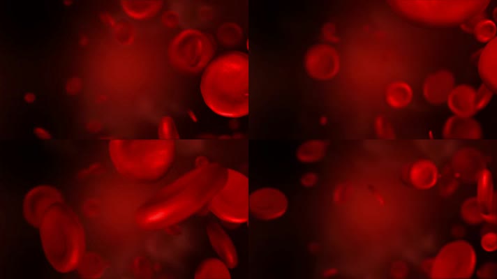 血红细胞动画血管动脉静脉