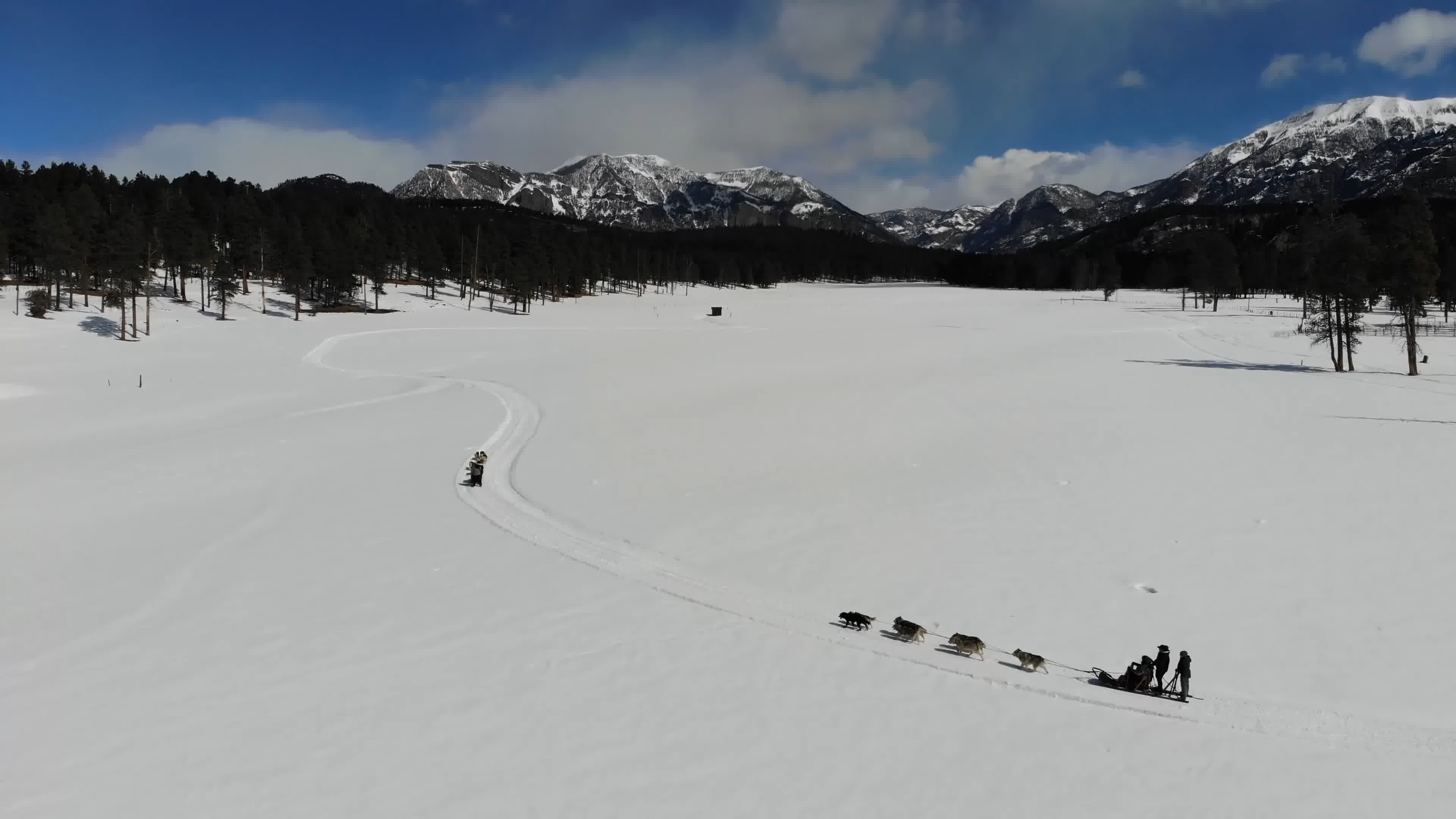 俯视雪橇和俯式雪橇图片