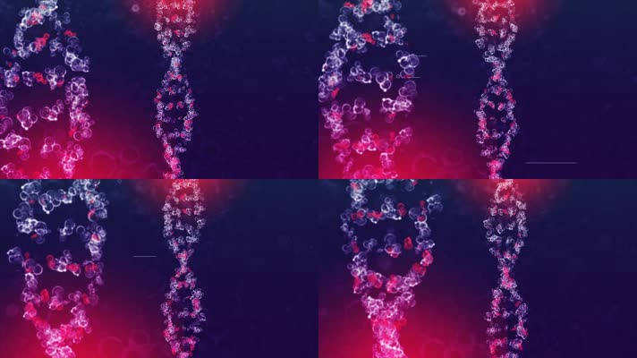 生物技术DNA基因序列双螺旋自身免疫系统