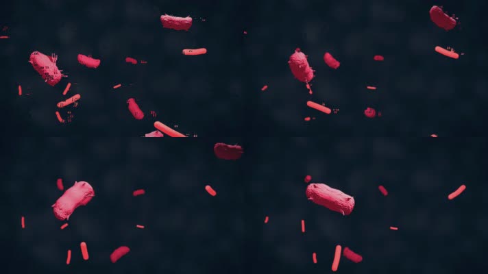 4K扫描显微镜细菌病毒干扰药物沉淀红色
