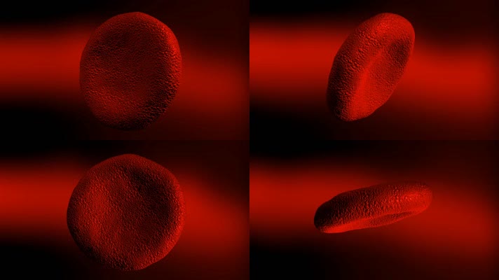 血红细胞动画血管动脉静脉