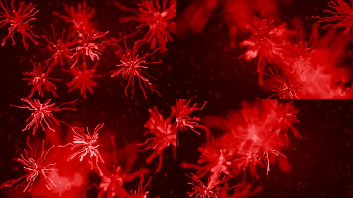 生物生命红色细胞病毒病菌医疗医学