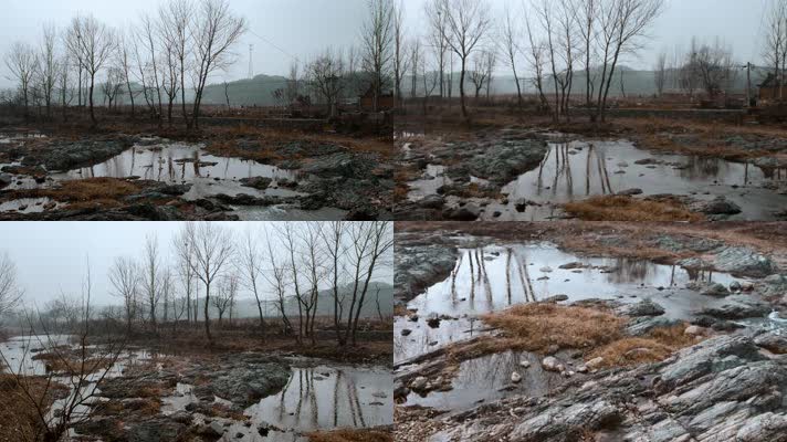 4k过年回家冬季干枯的河床河边的枯树