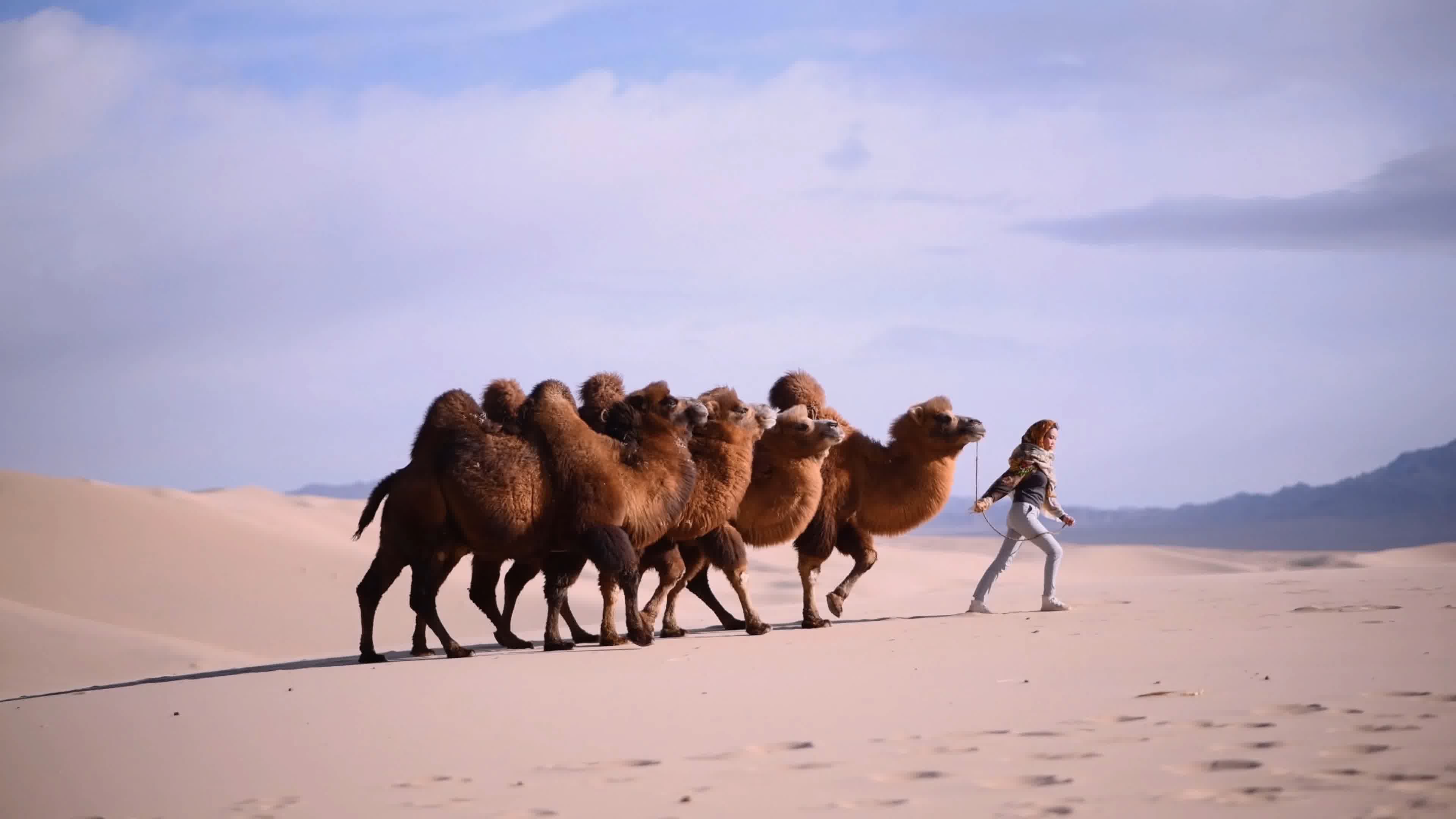 骑骆驼埃及沙漠的女孩 库存图片. 图片 包括有 蓝色, 本质, 冒险家, 孩子, 埃及, 骆驼, 小丘 - 237399963