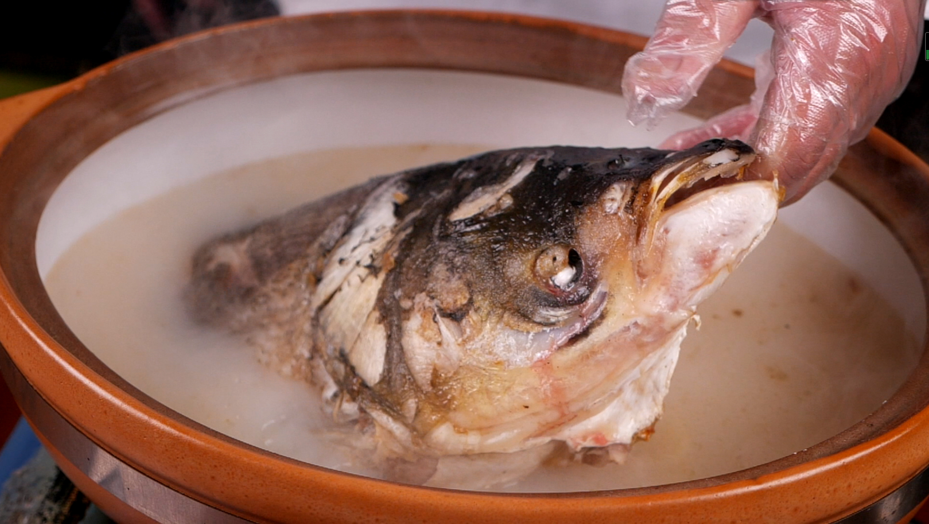 魚頭4k素材花鰱魚魚頭湯魚頭特寫視頻素材