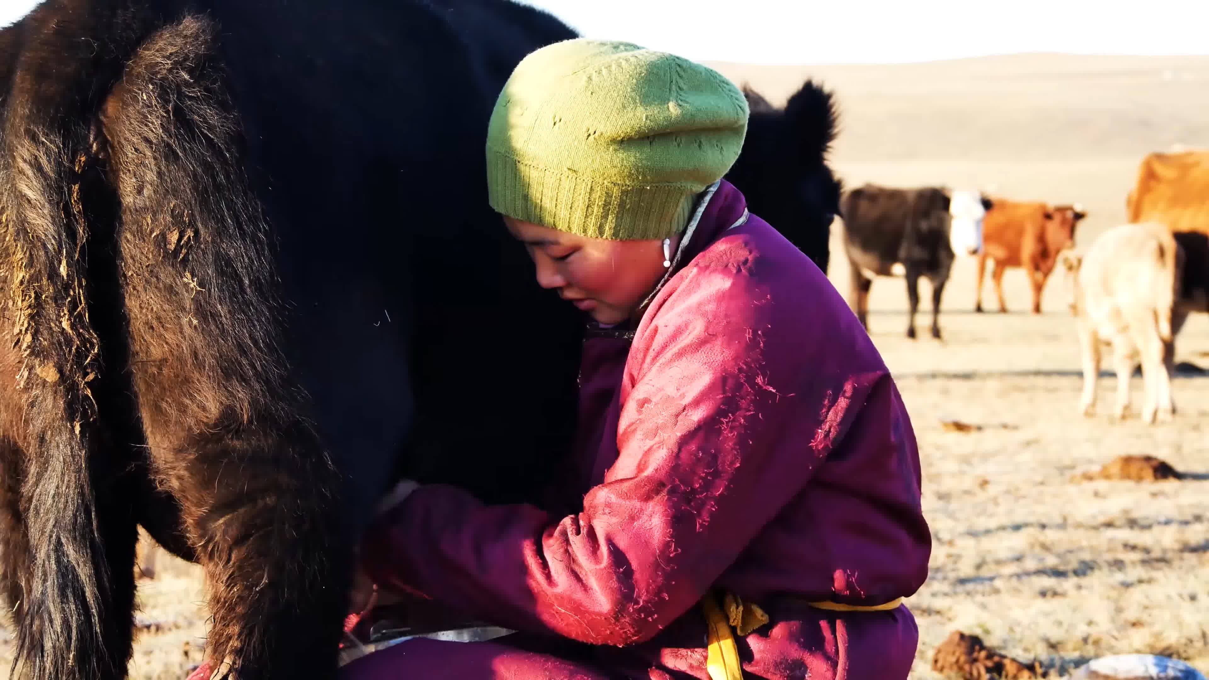 这才是真实的草原牧民，虽然生活过得很简单，却都是百万富翁_内蒙古