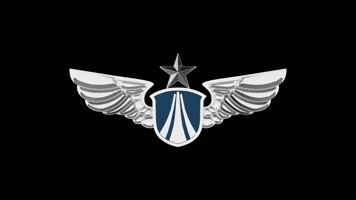 空军胸标矢量图图片
