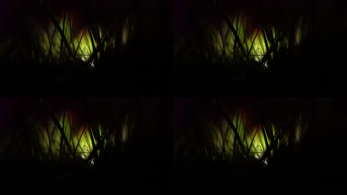 【实景拍摄】藏在深夜里草丛间的一盏灯17秒
