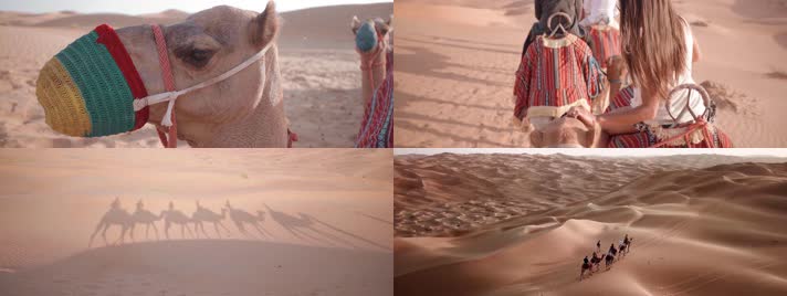 沙漠骆驼，阿拉伯，伊斯兰穆斯林