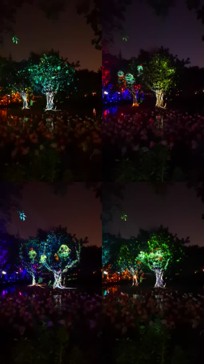 3D投影树