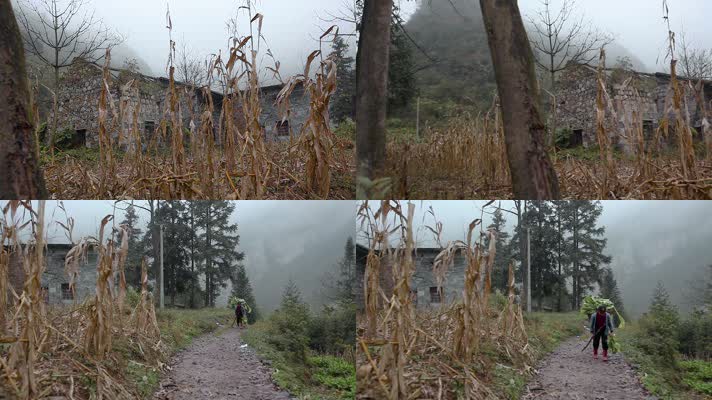 云南贫困山区破败石头房子土路上背菜的农妇