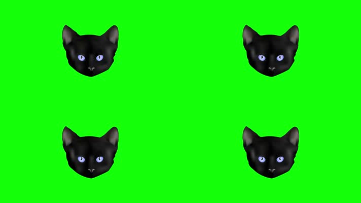 黑猫动画