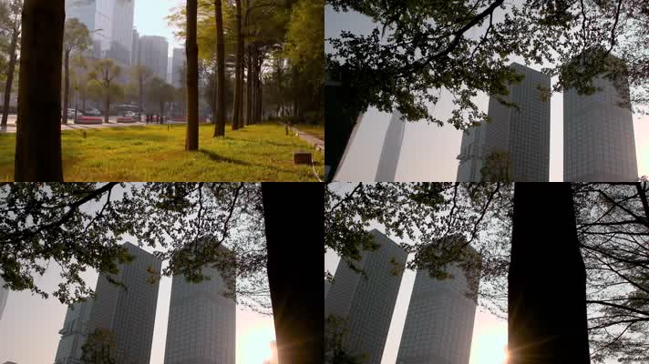 升格深圳平安大厦附近的落日光影和行道树
