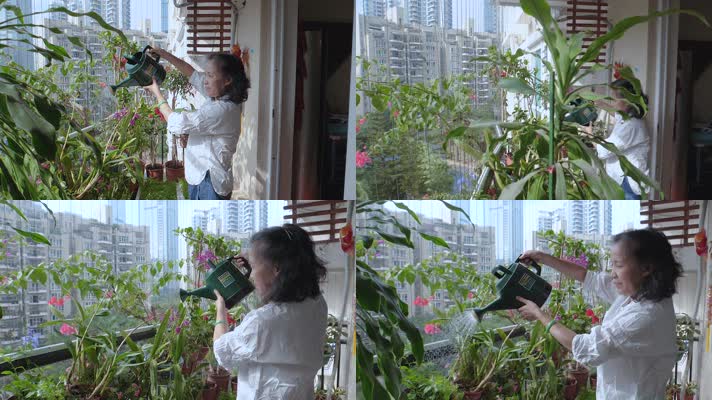 深圳城市阳台上浇花的市民妇女