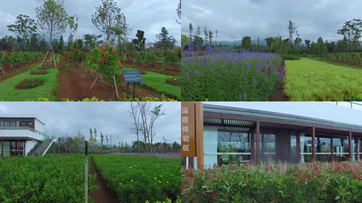 4k云南抚仙湖畔玉溪庄园有机蔬菜种植区花园