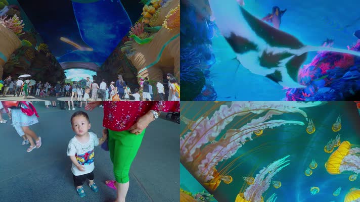 娱乐场海洋世界视频幼儿游广东长隆海洋公园