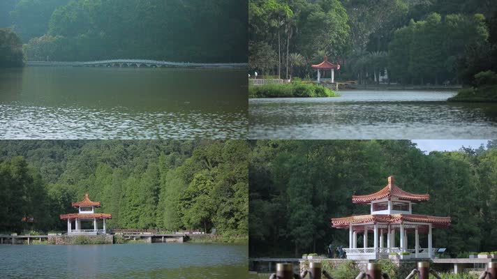 深圳东湖公园视频