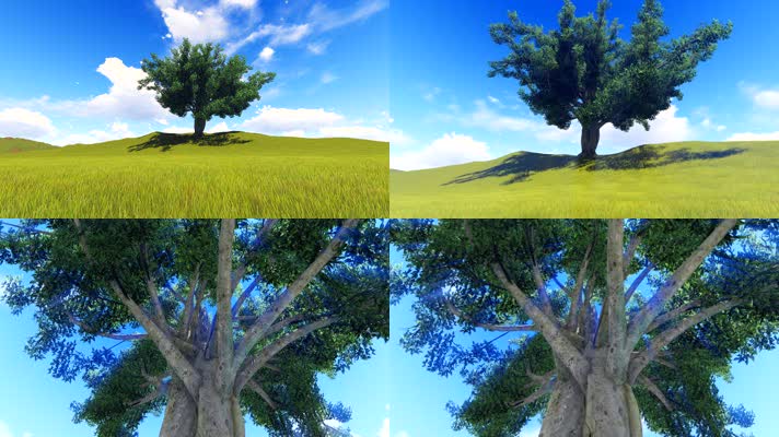 参天大树自然百年树木动画2