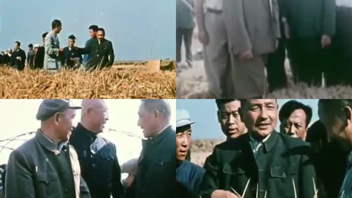 80年代改革开放初期小平同志天津调研