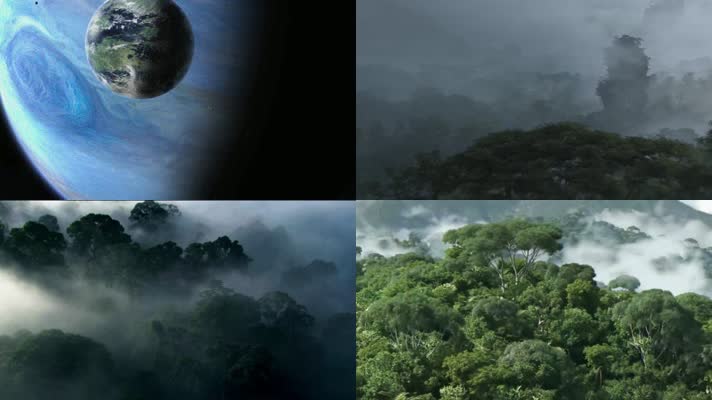 唯美地球星球外星世界云雾缭绕树林