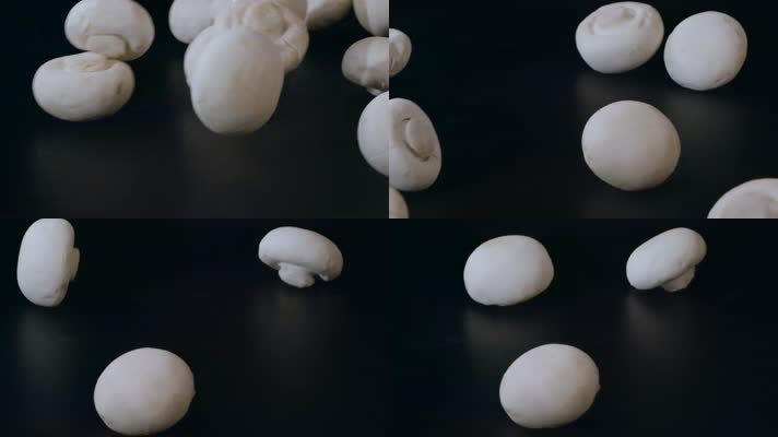 白色蘑菇视频慢镜头滚动的白蘑菇菌类