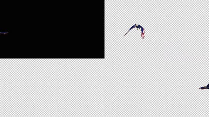 【4K】美国白头鹰