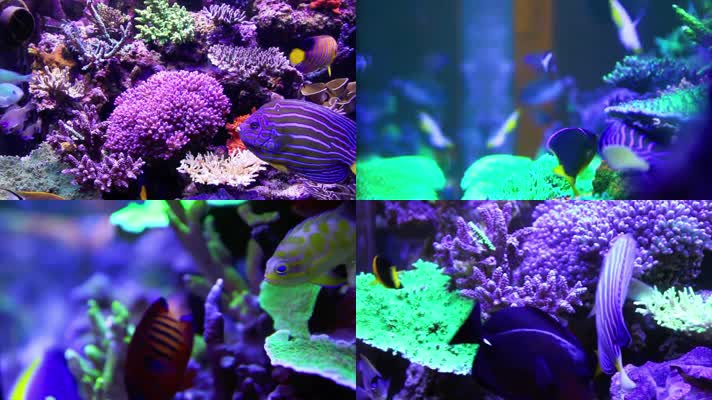 水族馆海底世界