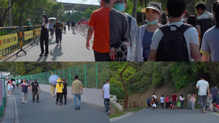 4k深圳公园游客视频深圳羊台山公园人来人往