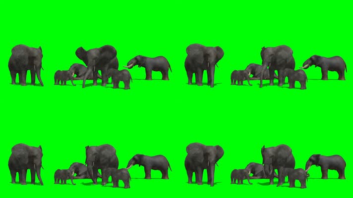 大象绿屏
