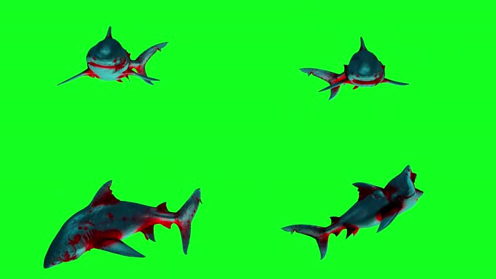 鲨鱼绿屏