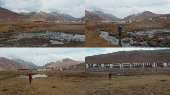 4k西藏风光视频金色草地上走过的游客