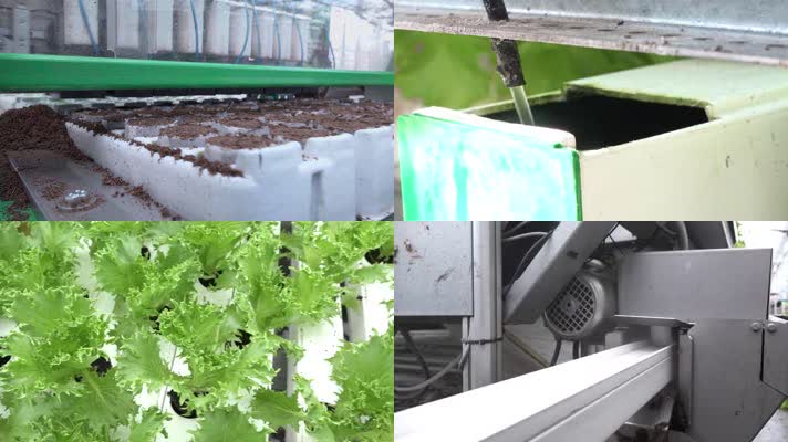 科技农业，室内温室，蔬菜种植