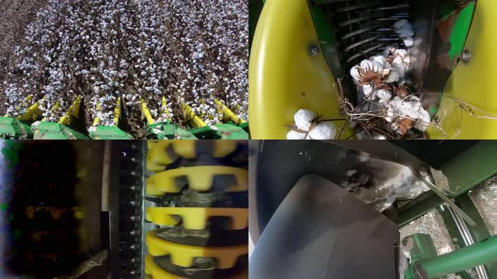 棉花丰收，联合收割机，机械化收割