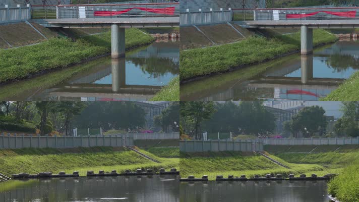 4k深圳视频观湖白鸽湖文化公园干净河道栏杆