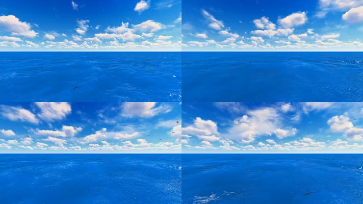 1080P-深色 蓝天白云-海鸟大海