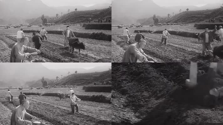 30年代40年代村庄农田-60年代梨地种粮