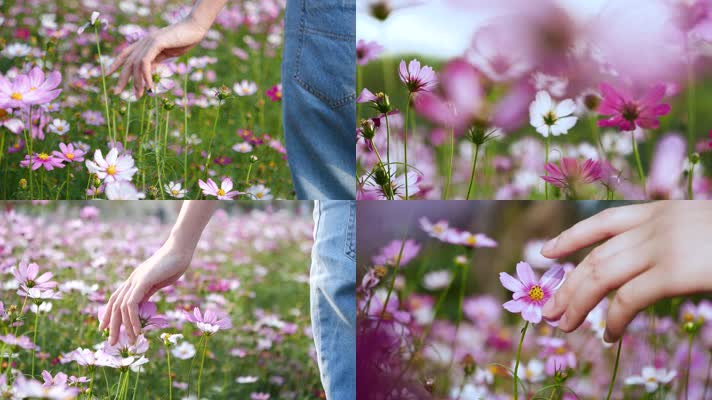春天女孩手抚摸花朵亲近自然