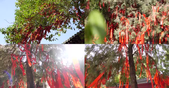 许愿树-红色丝带-愿望纸条-祈求-希望