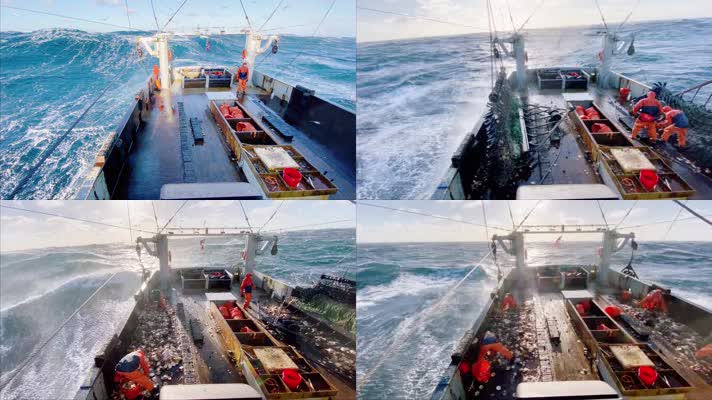 远洋渔业，大海捕鱼，海洋捕捞