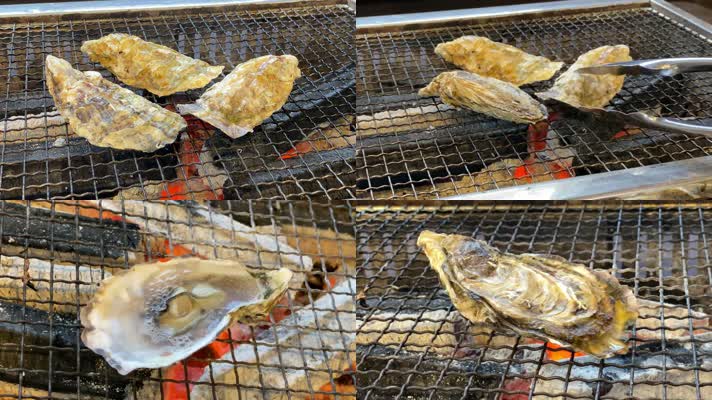 牡蛎生蚝，炭火烧烤，海鲜美食