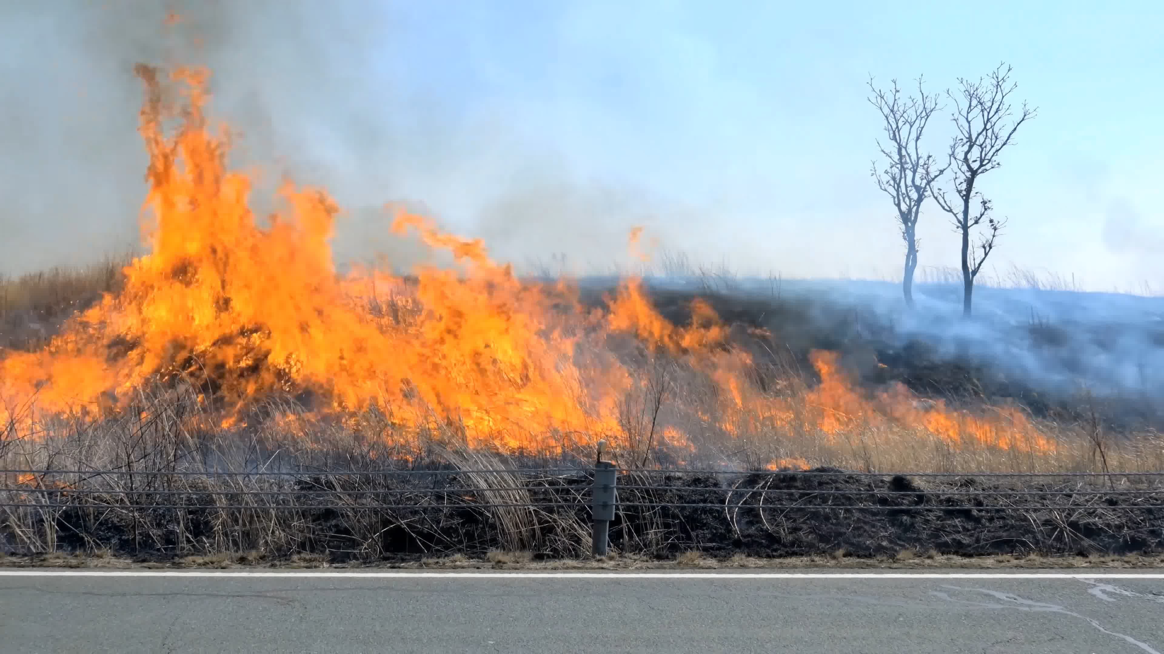 火烧山森林火灾森林大火消防员灭火视频素材
