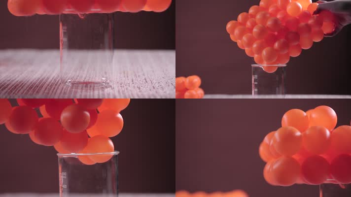 乒乓球 烧杯 分子实验 氨基酸 肽 蛋白