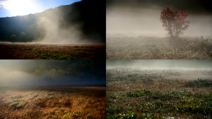 4K多镜头山间森林晨雾清晨雾气，生态风景