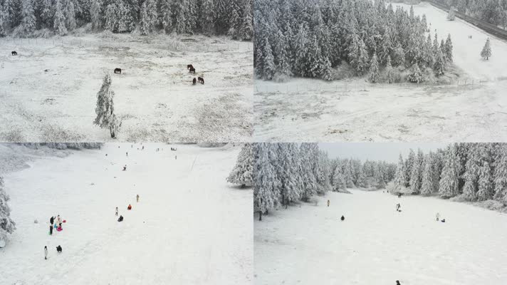 仙女山景区冬季野马场滑雪场一镜到底航拍