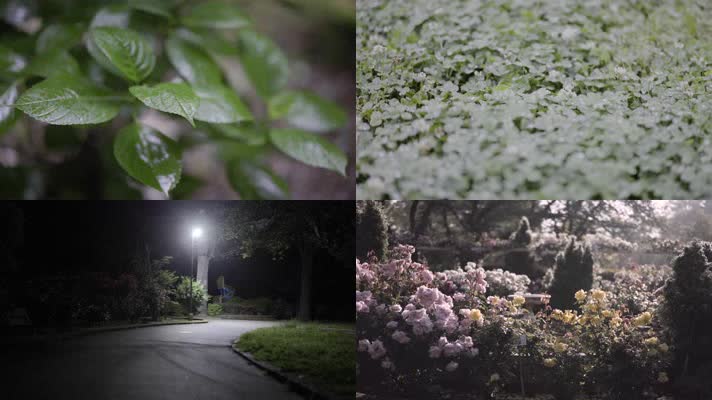 【4K】美丽花园