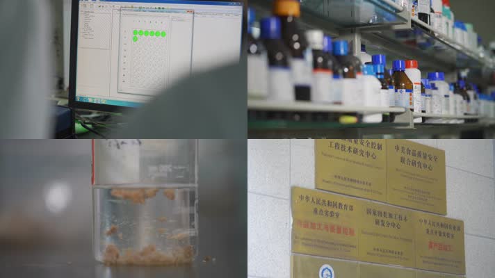 实验室 大学实验室 微生物检测 生物实验室 