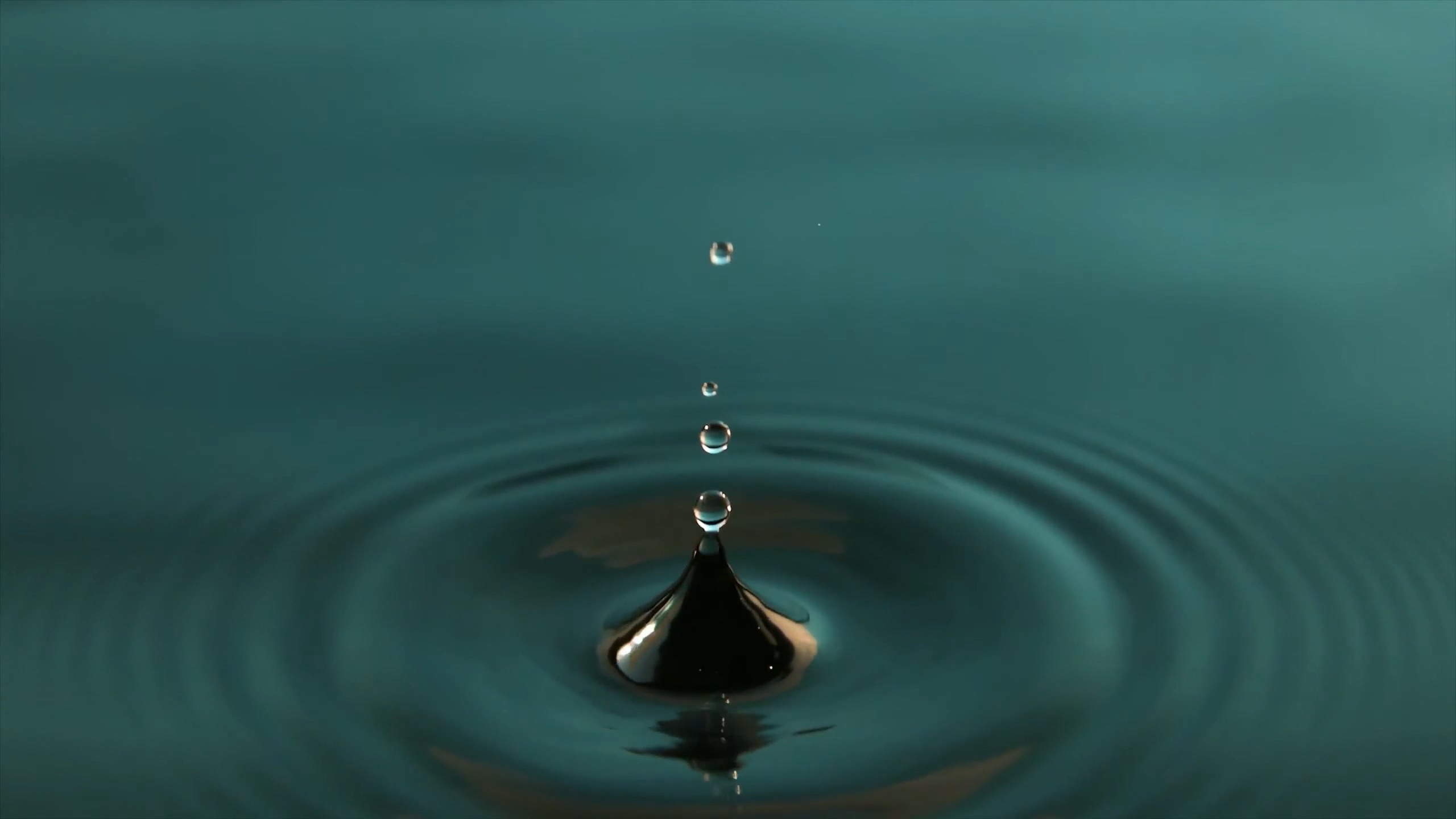 水滴|摄影|生态|摄影设计老师王林 - 原创作品 - 站酷 (ZCOOL)