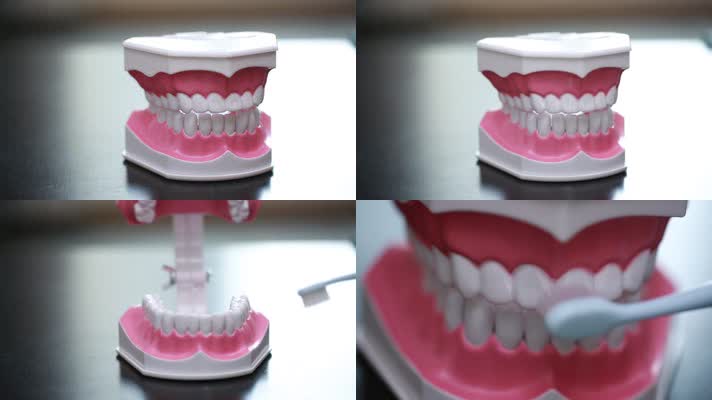 实拍牙齿模型演示刷牙 (2)