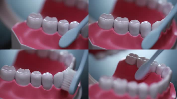 实拍牙齿模型演示刷牙 (4)